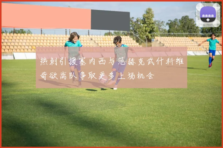 热刺引援塞内西与范赫克武什科维奇欲离队争取更多上场机会